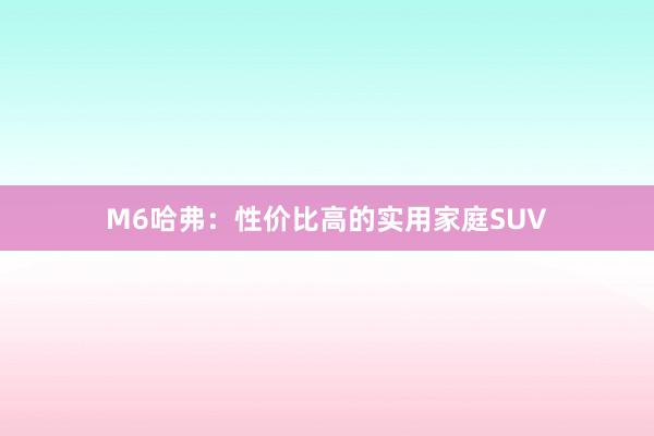 M6哈弗：性价比高的实用家庭SUV